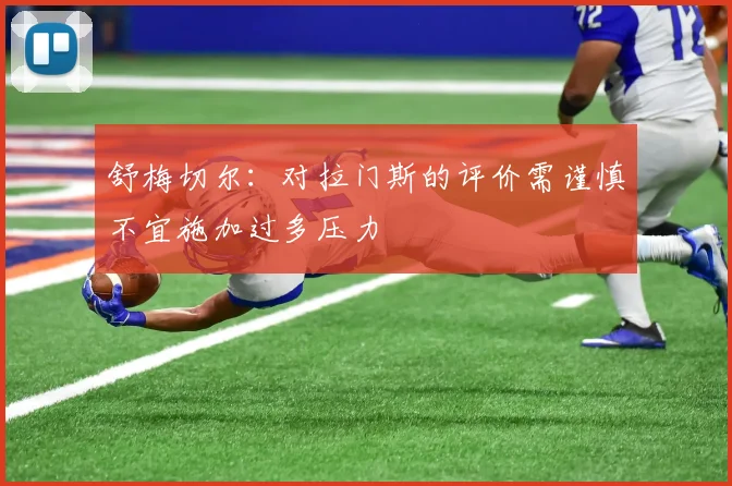 舒梅切尔：对拉门斯的评价需谨慎不宜施加过多压力