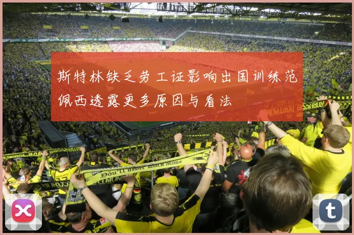 斯特林缺乏劳工证影响出国训练范佩西透露更多原因与看法